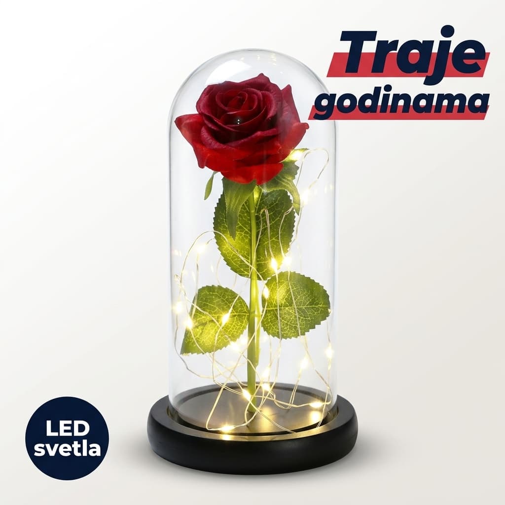 La Rosa Éternelle — večna ruža u staklu